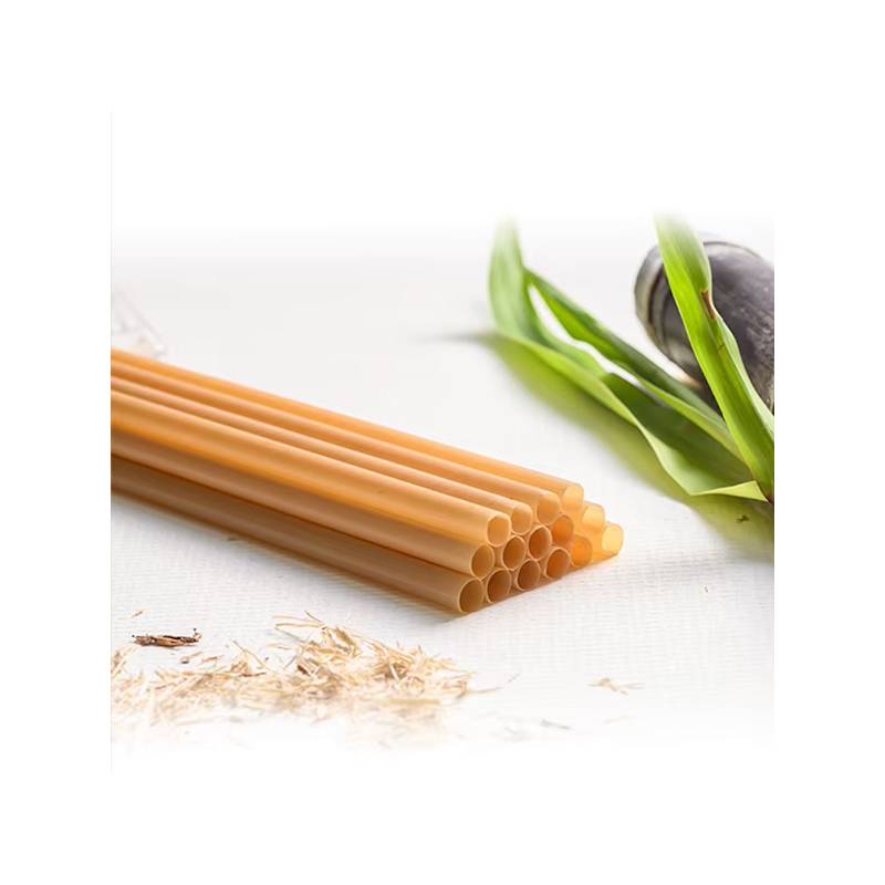 6" Natural Agave Individually Wrapped Cocktail Straw - 2000/Case