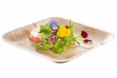 10 Benefits of Using Palm Leaf Plates for Your Parties