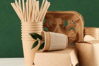 Are Paper Straws Eco-Friendly? 